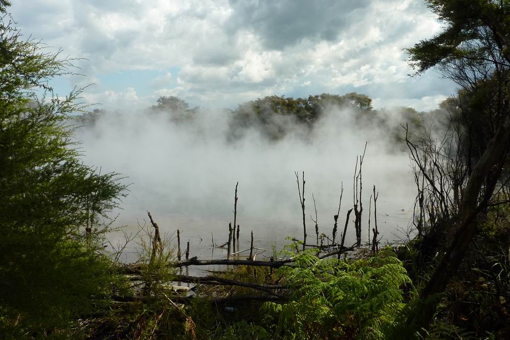 219_Rotorua-park Kuirau.JPG