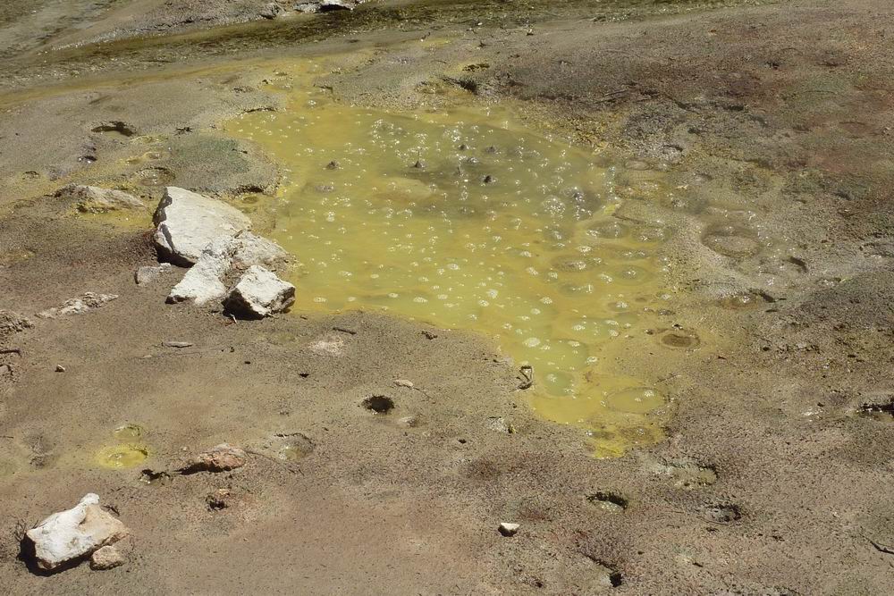 245_Wai-O-Tapu.JPG